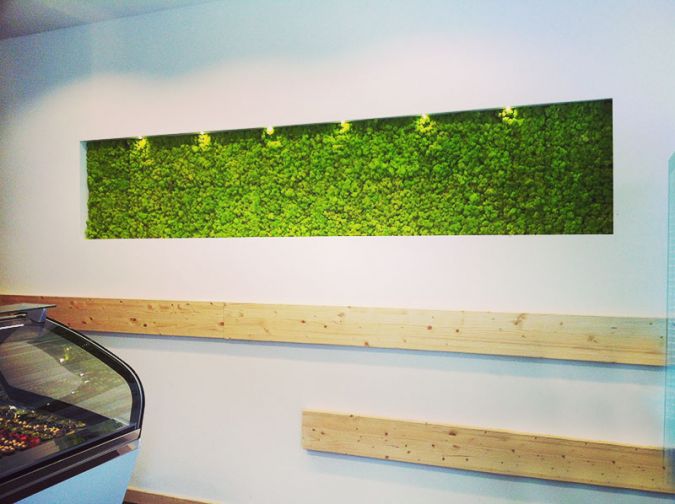 arredamento gelateria bar naturalia asti
